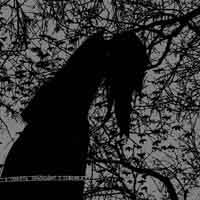 Stielas Storhett : Death Comes from the North